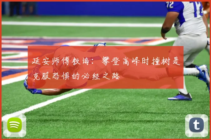 延安师傅教诲：攀登高峰时撞树是克服恐惧的必经之路