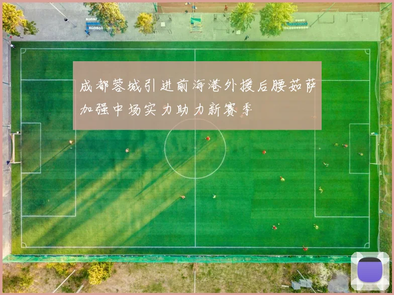 成都蓉城引进前海港外援后腰茹萨加强中场实力助力新赛季